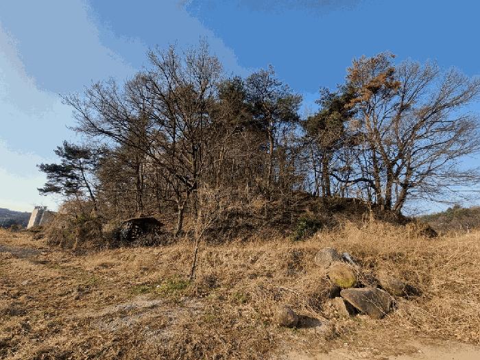 경상남도 하동군 고전면 전도리 240-1 임야 경매 사진 4
