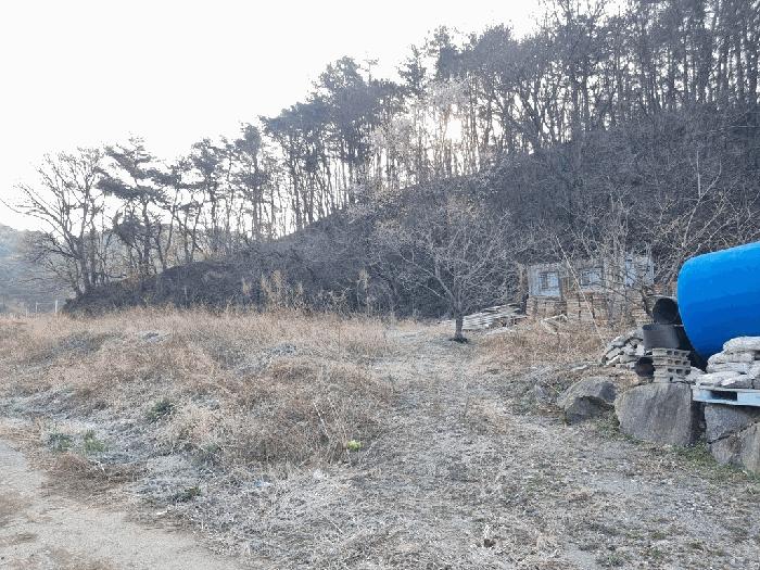 경상남도 하동군 고전면 전도리 240-1 임야 경매 사진 7