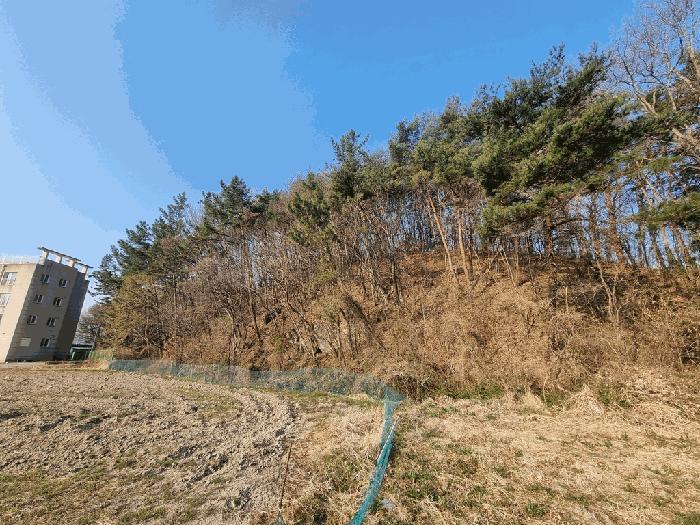경상남도 하동군 고전면 전도리 240-1 임야 경매 사진 8