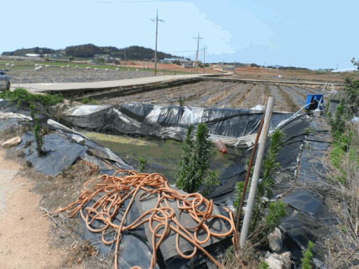 전라남도 무안군 해제면 송석리 504-4 구거 경매 사진 4