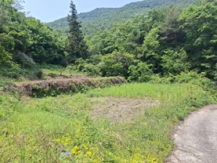 경상남도 남해군 삼동면 봉화리 1482-24 전 경매 사진 1
