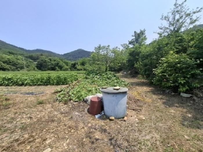 경상남도 남해군 삼동면 봉화리 1482-24 전 경매 사진 11