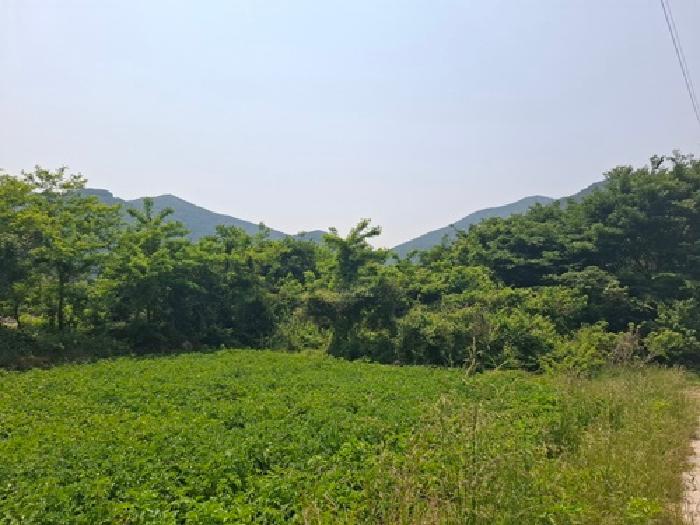 경상남도 남해군 삼동면 봉화리 1482-24 전 경매 사진 3