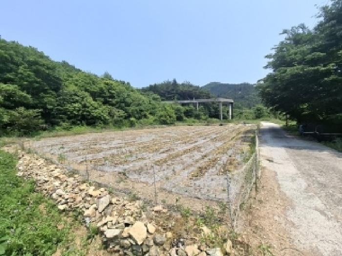 경상남도 남해군 삼동면 봉화리 1482-24 전 경매 사진 6