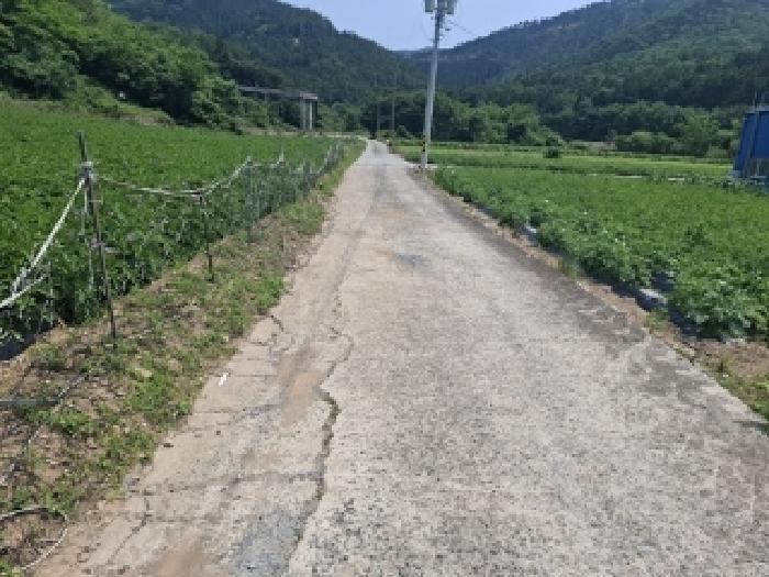 경상남도 남해군 삼동면 봉화리 1482-24 전 경매 사진 8