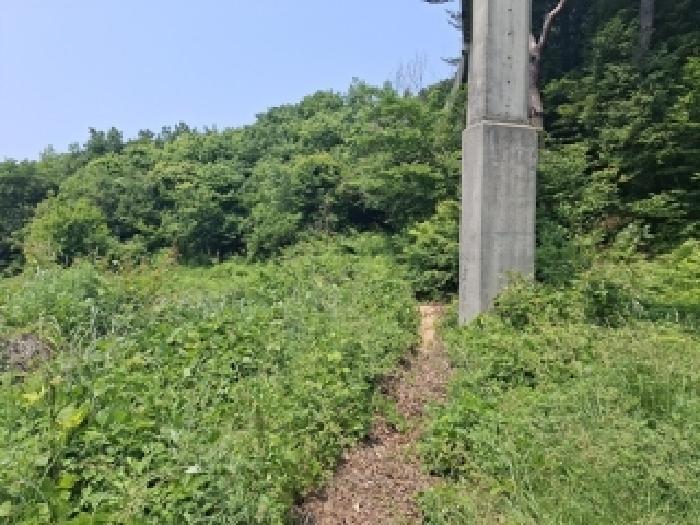 경상남도 남해군 삼동면 봉화리 1482-24 전 경매 사진 9
