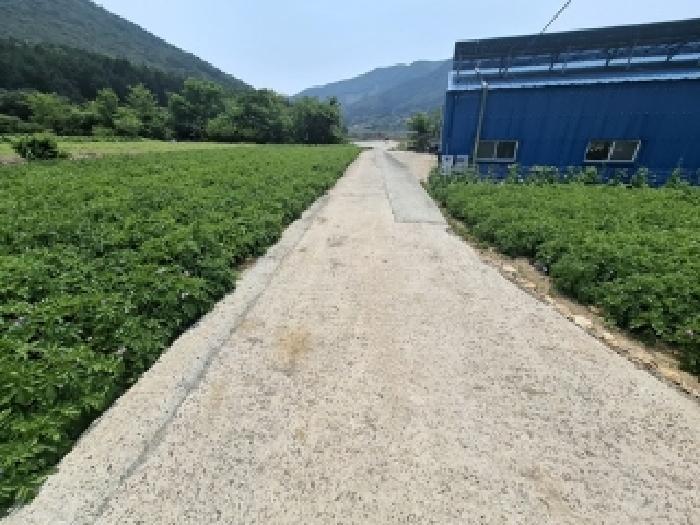 경상남도 남해군 삼동면 봉화리 1946 답 경매 사진 10