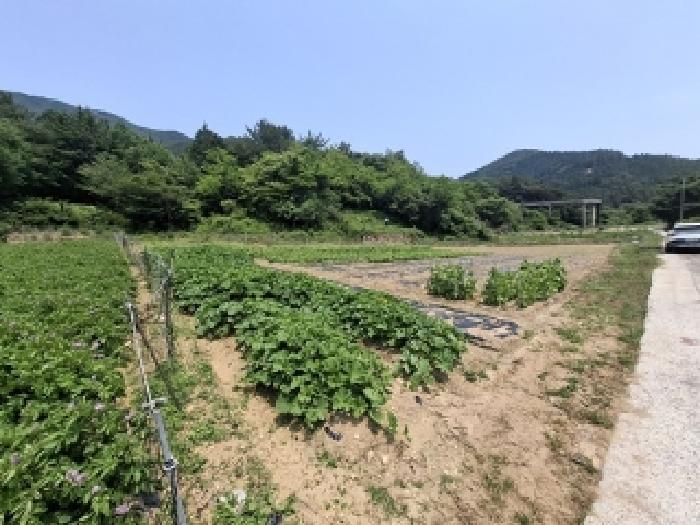 경상남도 남해군 삼동면 봉화리 1946 답 경매 사진 12