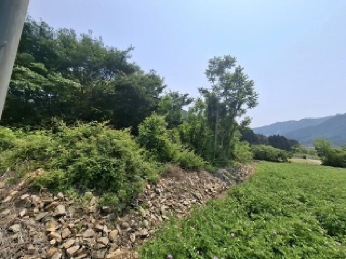경상남도 남해군 삼동면 봉화리 1946 답 경매 사진 2