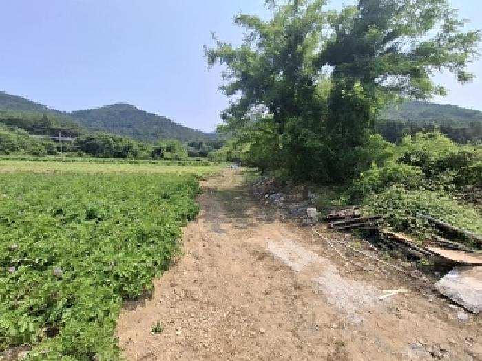 경상남도 남해군 삼동면 봉화리 1946 답 경매 사진 4