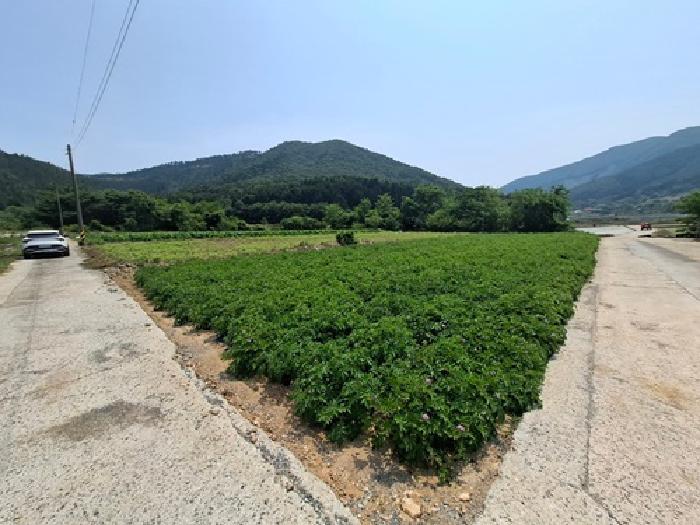 경상남도 남해군 삼동면 봉화리 1946 답 경매 사진 5