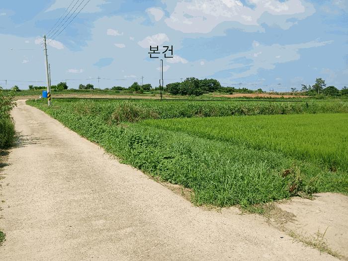 전라남도 영암군 시종면 만수리 745-2 답 경매 사진 4