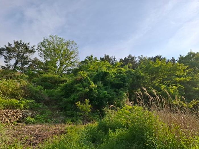 경상남도 남해군 남면 상가리 370 대지 경매 사진 16