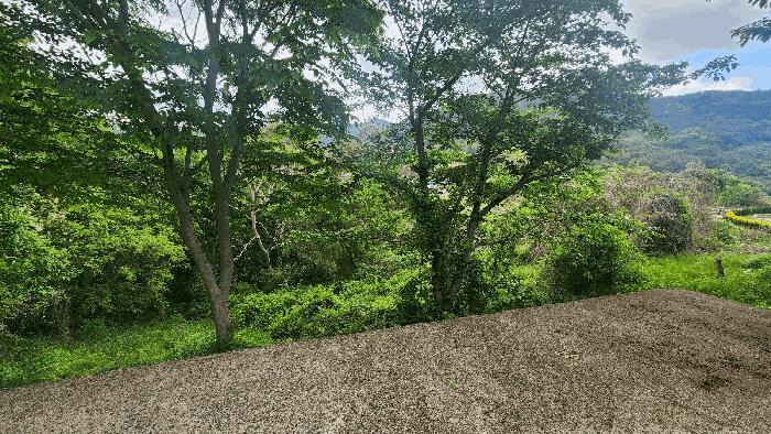 경상남도 남해군 남면 상가리 370 대지 경매 사진 5
