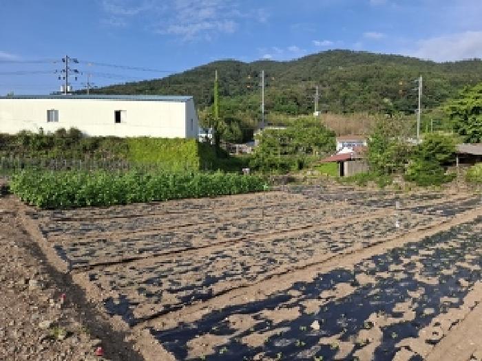 경상남도 남해군 남면 상가리 646 전 경매 사진 13