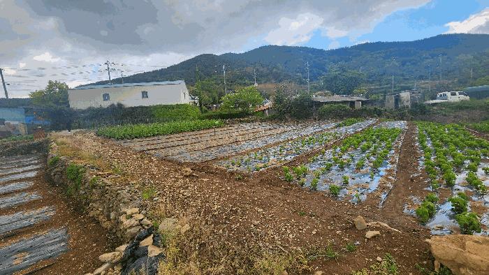 경상남도 남해군 남면 상가리 818 전 경매 사진 11