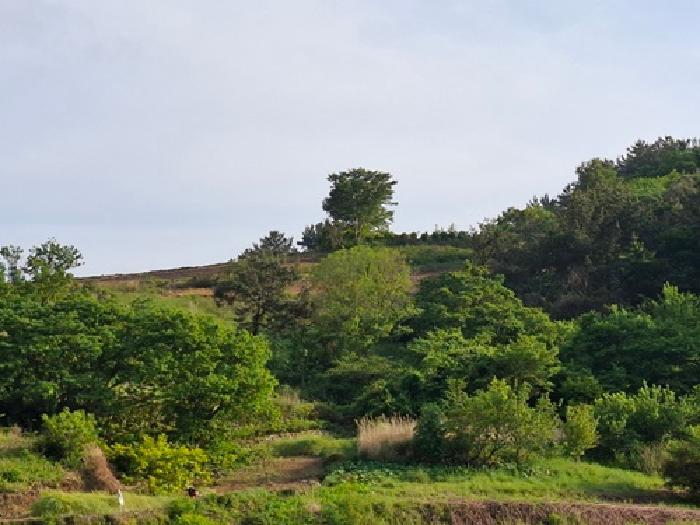 경상남도 남해군 남면 상가리 818 전 경매 사진 15