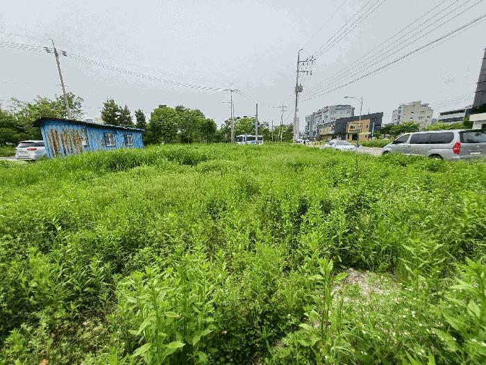 경상남도 진주시 평거동 1120-1 대지 경매 사진 4