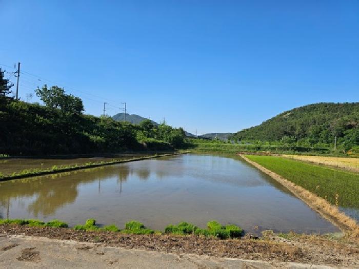 경상남도 진주시 사봉면 부계리 293 전 경매 사진 6