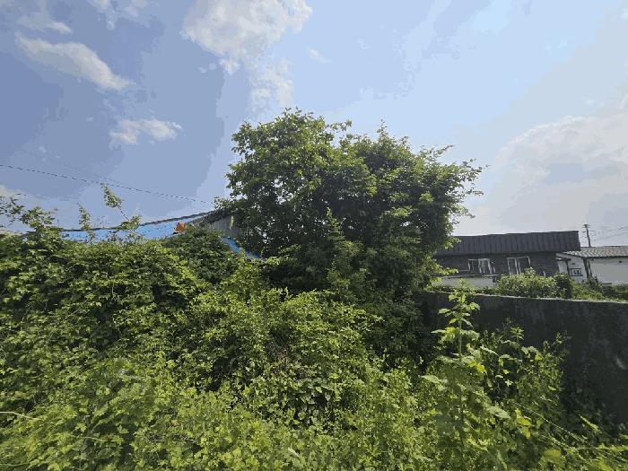 경상남도 사천시 사남면 죽천리 369-3 주택 경매 사진 4