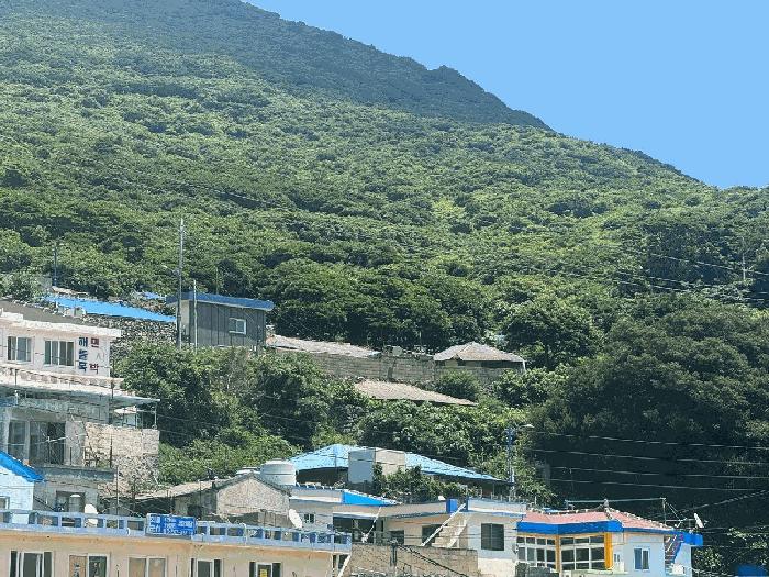 전라남도 신안군 흑산면 가거도리 204-4 전 경매 사진 2