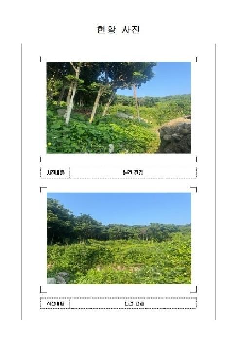 전라남도 신안군 흑산면 가거도리 204-4 전 경매 사진 4
