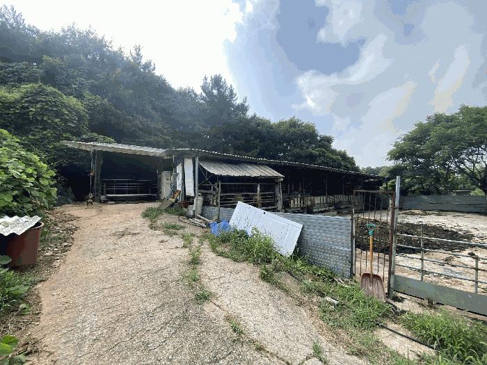 전라남도 무안군 운남면 연리 1020 답 경매 사진 2