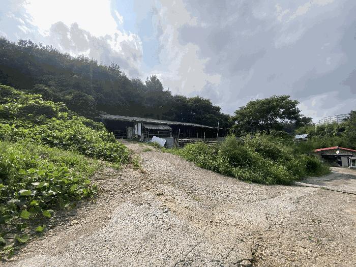 전라남도 무안군 청계면 복길리 산46-4 목장용지 경매 사진 7