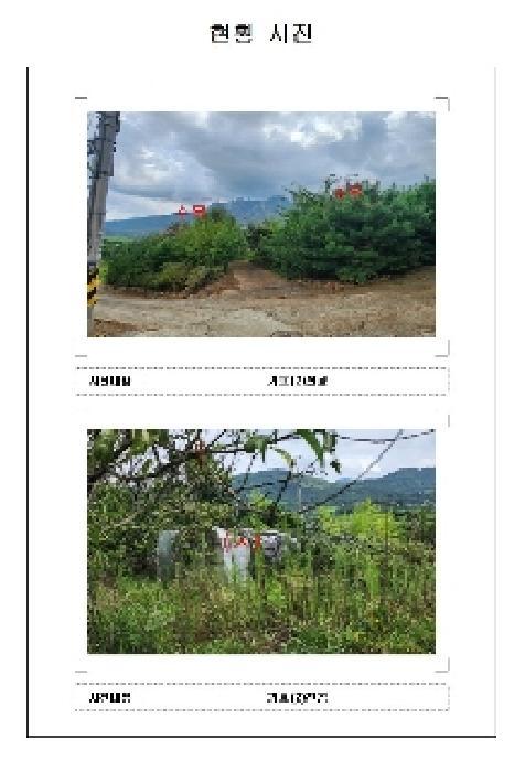 전라남도 영암군 영암읍 개신리 762-10 주택 경매 사진 19