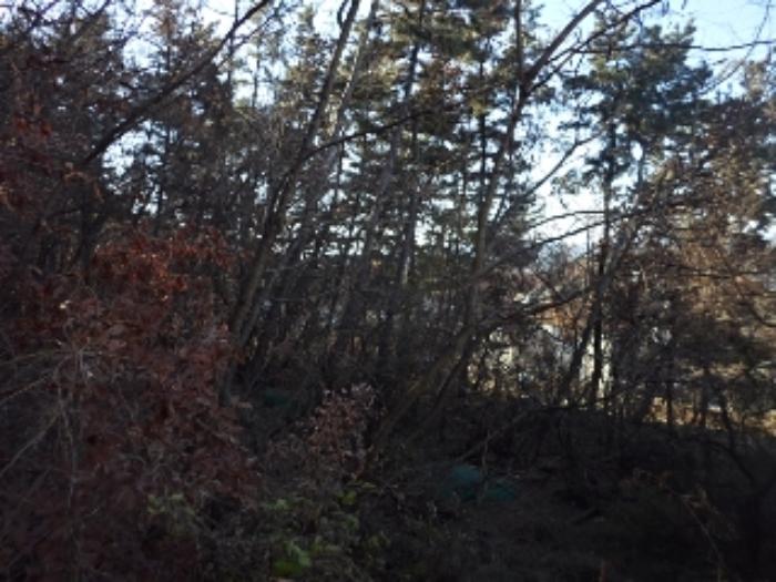 경상남도 창녕군 창녕읍 말흘리 431 전 경매 사진 11