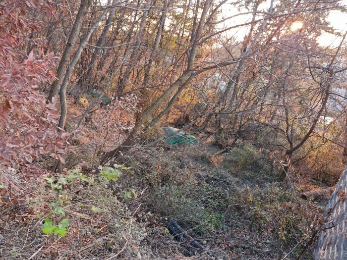 경상남도 창녕군 창녕읍 말흘리 431 전 경매 사진 2