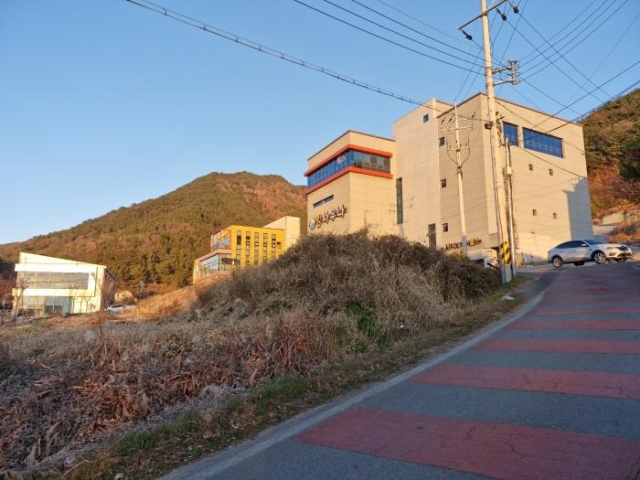 경상남도 창녕군 창녕읍 말흘리 산20-6 임야 경매 사진 4