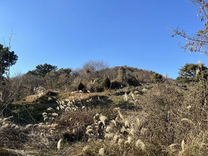 경상남도 밀양시 상남면 예림리 1300 전 경매 사진 4