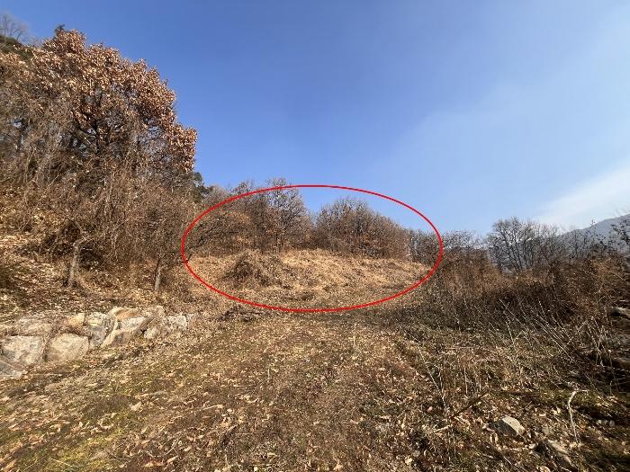 경상남도 밀양시 산내면 송백리 1033-3 임야 경매 사진 3