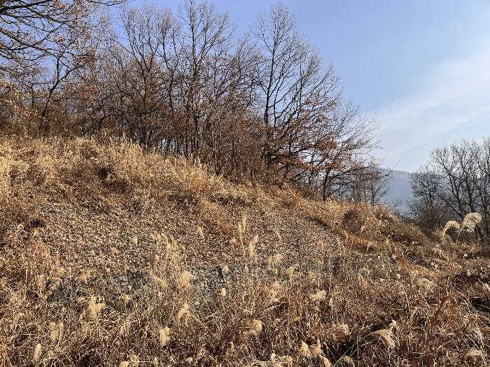 경상남도 밀양시 산내면 송백리 1033-3 임야 경매 사진 4