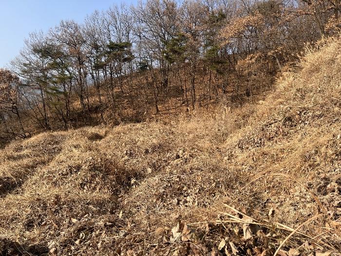 경상남도 밀양시 산내면 송백리 1033-3 임야 경매 사진 5