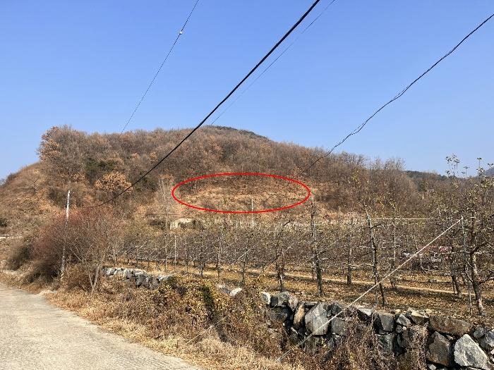 경상남도 밀양시 산내면 송백리 1033-3 임야 경매 사진 6