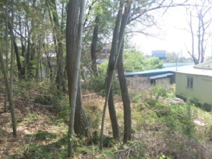 전라북도 완주군 봉동읍 용암리 산13 상가 경매 사진 15