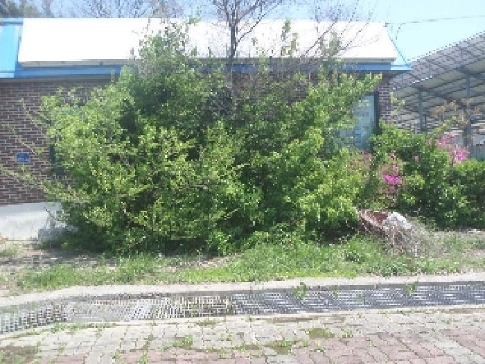 전라북도 완주군 봉동읍 용암리 산13 상가 경매 사진 27