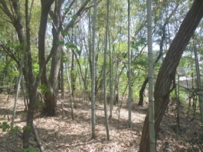 전라북도 완주군 봉동읍 용암리 산13 상가 경매 사진 28