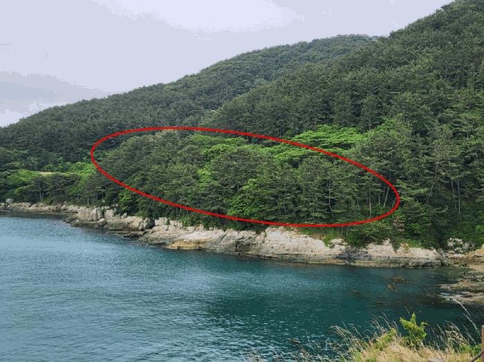경상남도 거제시 남부면 갈곶리 218 전 경매 사진 1