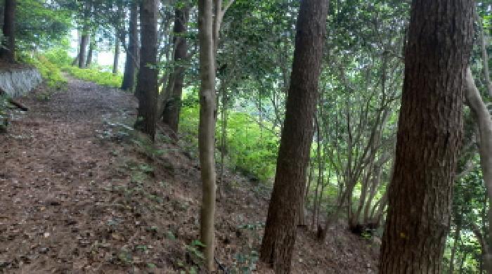 경상남도 거제시 남부면 갈곶리 218 전 경매 사진 11