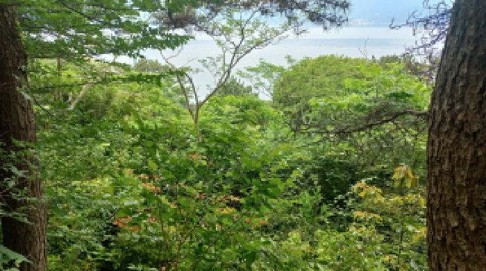 경상남도 거제시 남부면 갈곶리 218 전 경매 사진 22