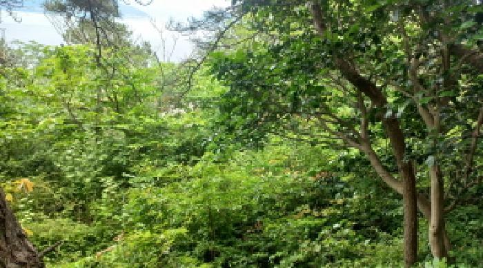 경상남도 거제시 남부면 갈곶리 218 전 경매 사진 23