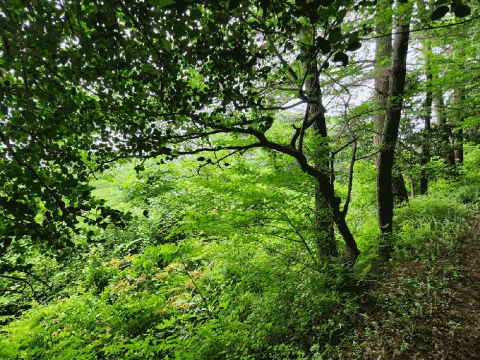 경상남도 거제시 남부면 갈곶리 218 전 경매 사진 3