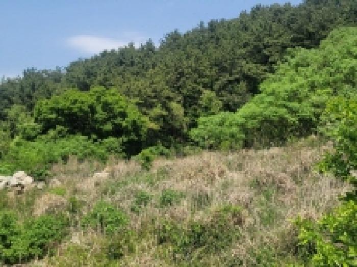 경상남도 거제시 사등면 창호리 1212-2 전 경매 사진 9