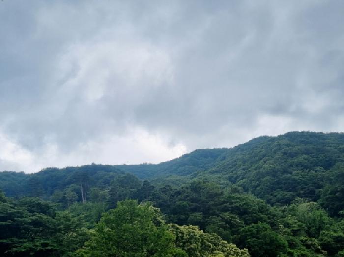 전라남도 광양시 다압면 금천리 2025 전 경매 사진 65
