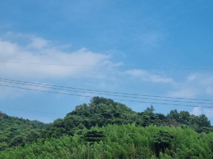 전라남도 광양시 옥곡면 묵백리 산50 임야 경매 사진 12