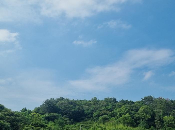 전라남도 광양시 옥곡면 묵백리 산50 임야 경매 사진 13