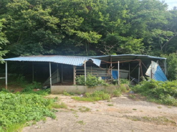 전라남도 광양시 옥곡면 묵백리 산50 임야 경매 사진 17